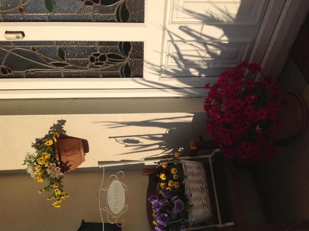 Annandale House Bed & Breakfast Dublin Exterior photo